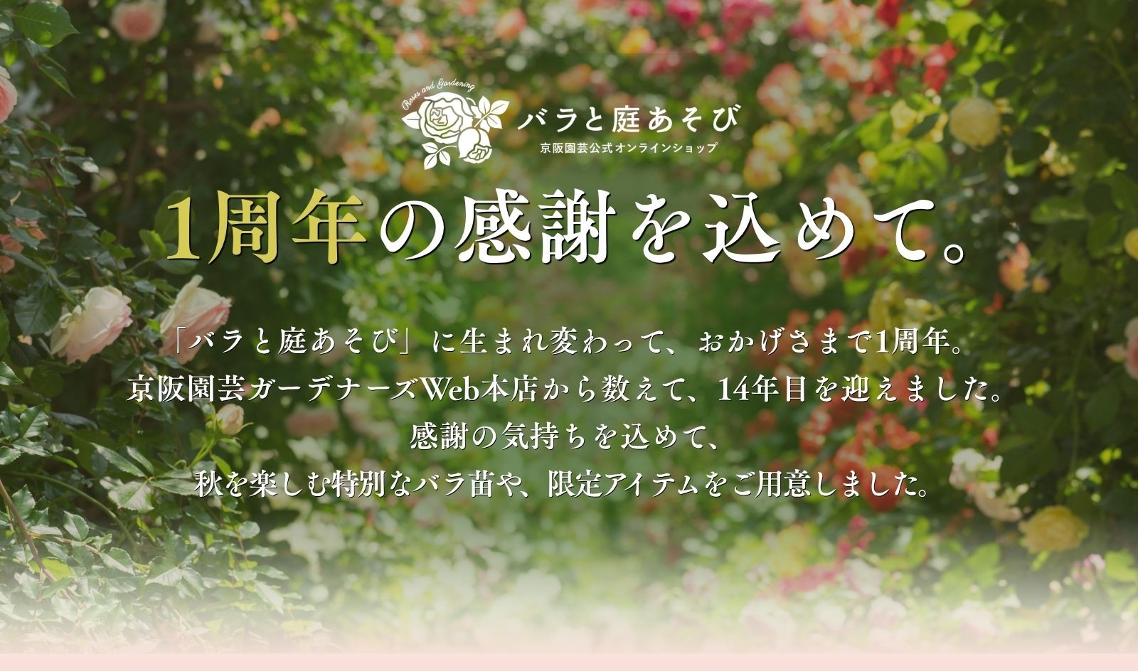 リニューアル1周年記念キャンペーン｜バラと庭あそび京阪園芸公式
