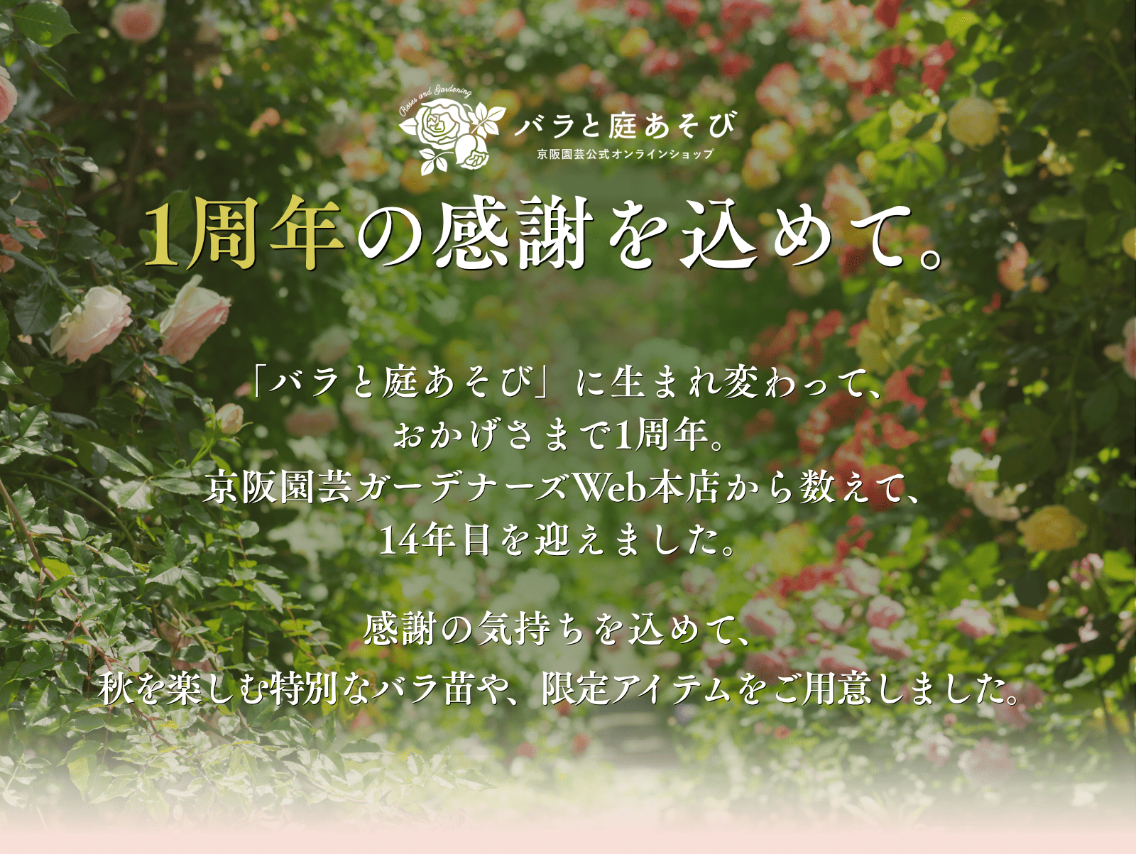 リニューアル1周年記念キャンペーン｜バラと庭あそび京阪園芸公式