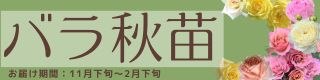 京阪園芸の秋苗販売2023