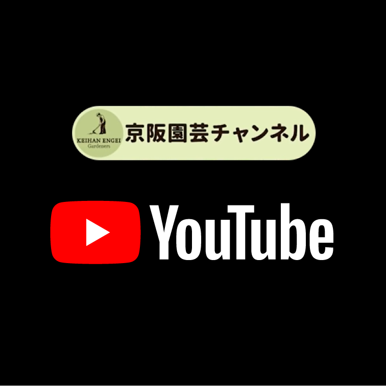 京阪園芸チャンネル