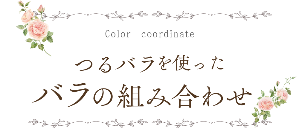 つるバラを使ったバラの組み合わせ