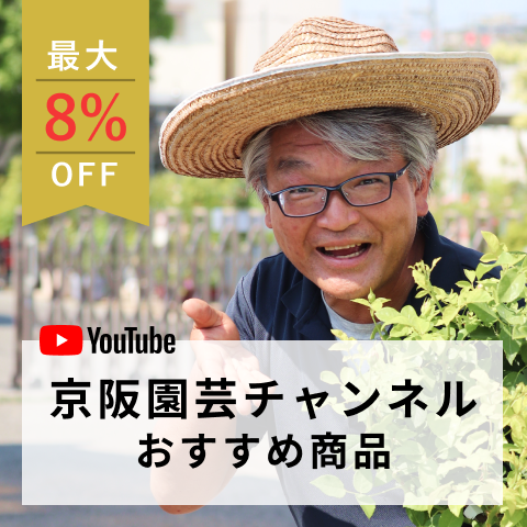 YouTube京阪園芸チャンネルおすすめ商品のバナー。麦わら帽子をかぶった男性と「最大8%OFF」の案内付き