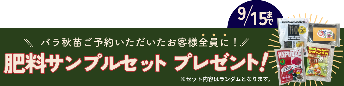 バラ秋苗を1万円以上ご予約の方にもれなくバイオゴールドセレクション薔薇をプレゼントと書いた画像