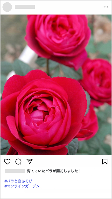 ⑥アップロードされたかどうかを確認して、投稿完了です!