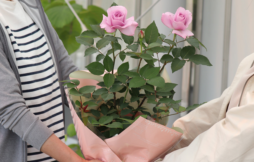 定年退職を迎える上司に