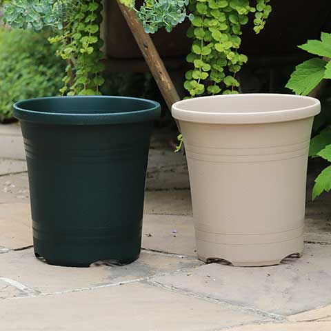 バラ栽培おすすめ鉢