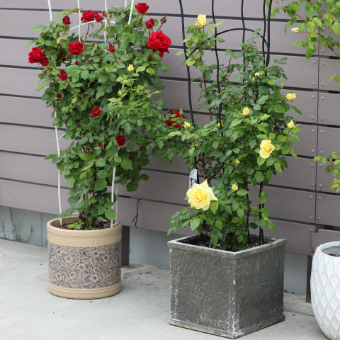 大型ツール（オベリスク）