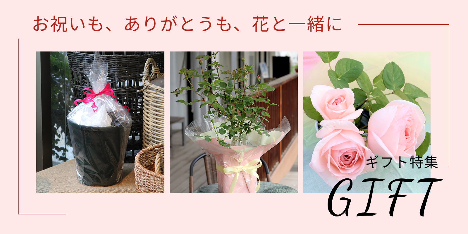 ギフト特集