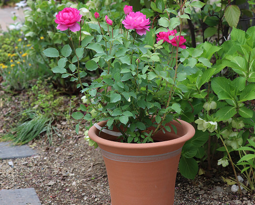 長く使える丈夫さと、上品な風合い