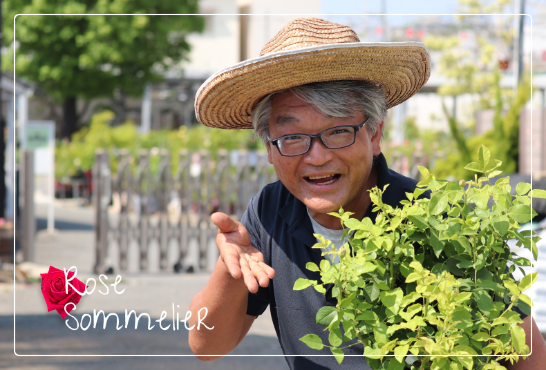 ローズソムリエがバラの苗を紹介している様子