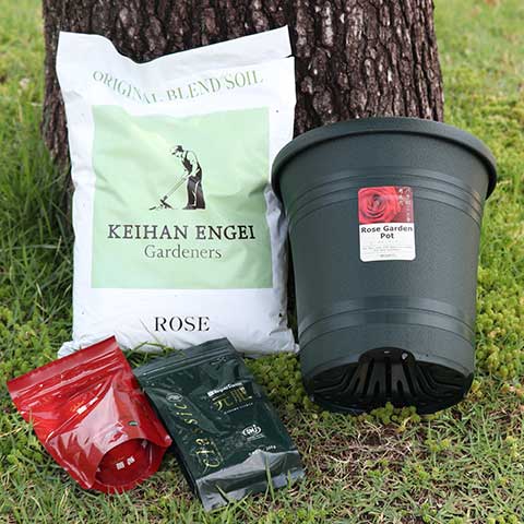 ８号鉢植替えセット（１鉢用）