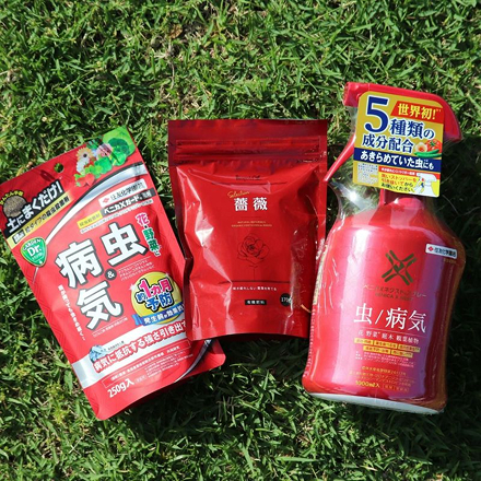 バラの初心者向け基本セット