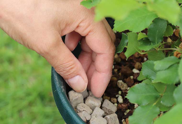 いつ変化が出るんだろう?