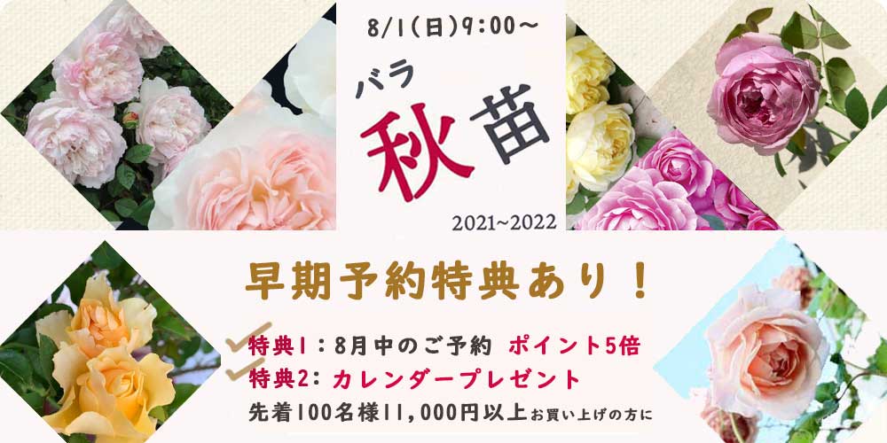 京阪園芸ガーデナーズwebショップ 本店 京阪園芸ガーデナーズwebショップ 本店