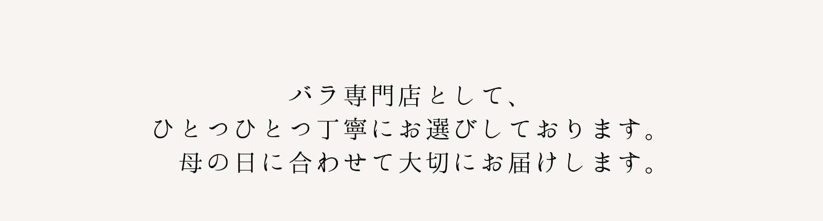 バラ専門店として、
ひとつひとつ丁寧にお選びしております。
 母の日に合わせて大切にお届けします。