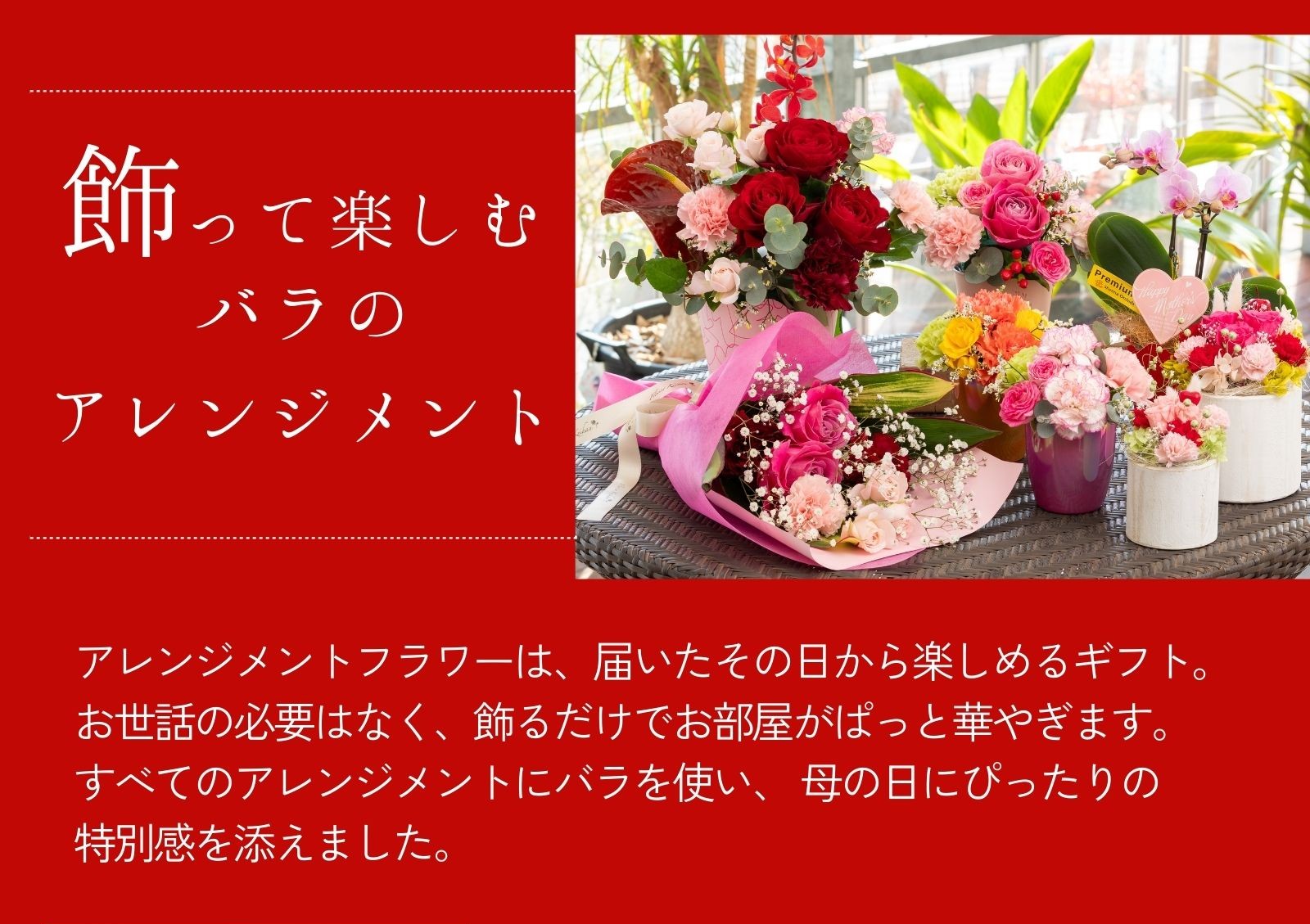 アレンジメントフラワーは、届いたその日から楽しめるギフト。
お世話の必要はなく、飾るだけでお部屋がぱっと華やぎます。
すべてのアレンジメントにバラを使い、 母の日にぴったりの
特別感を添えました。