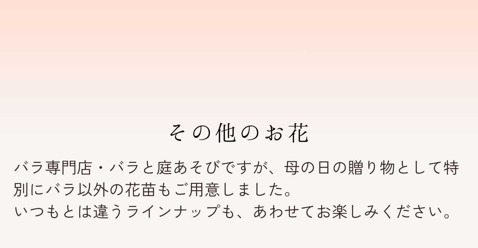 その他のお花 バラ専門店・バラと庭あそびですが、母の日の贈り物として特別にバラ以外の花苗もご用意しました。
いつもとは違うラインナップも、あわせてお楽しみください。