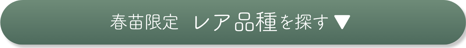 レアな春苗を探す