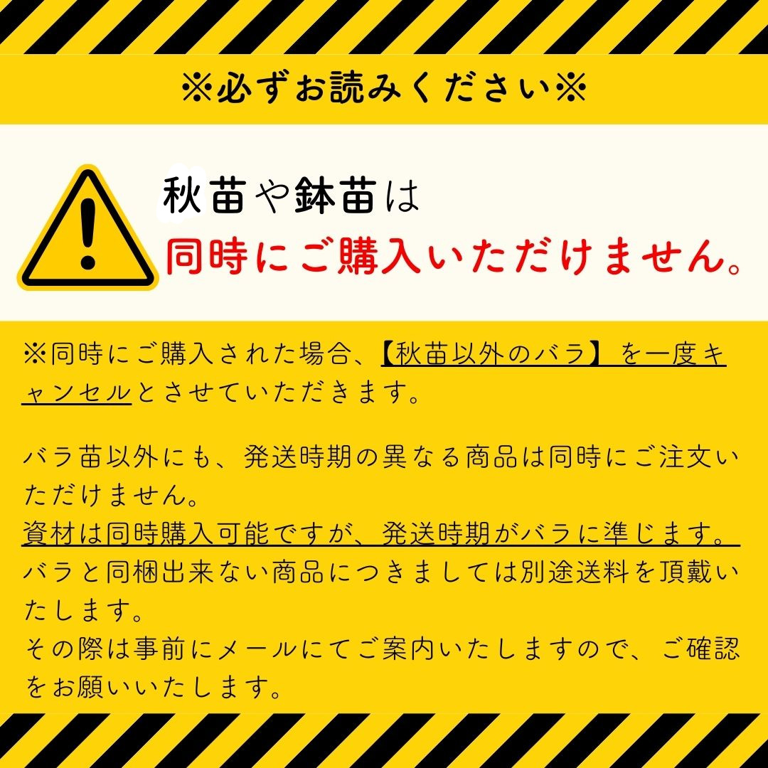 春苗予約についてのお願い