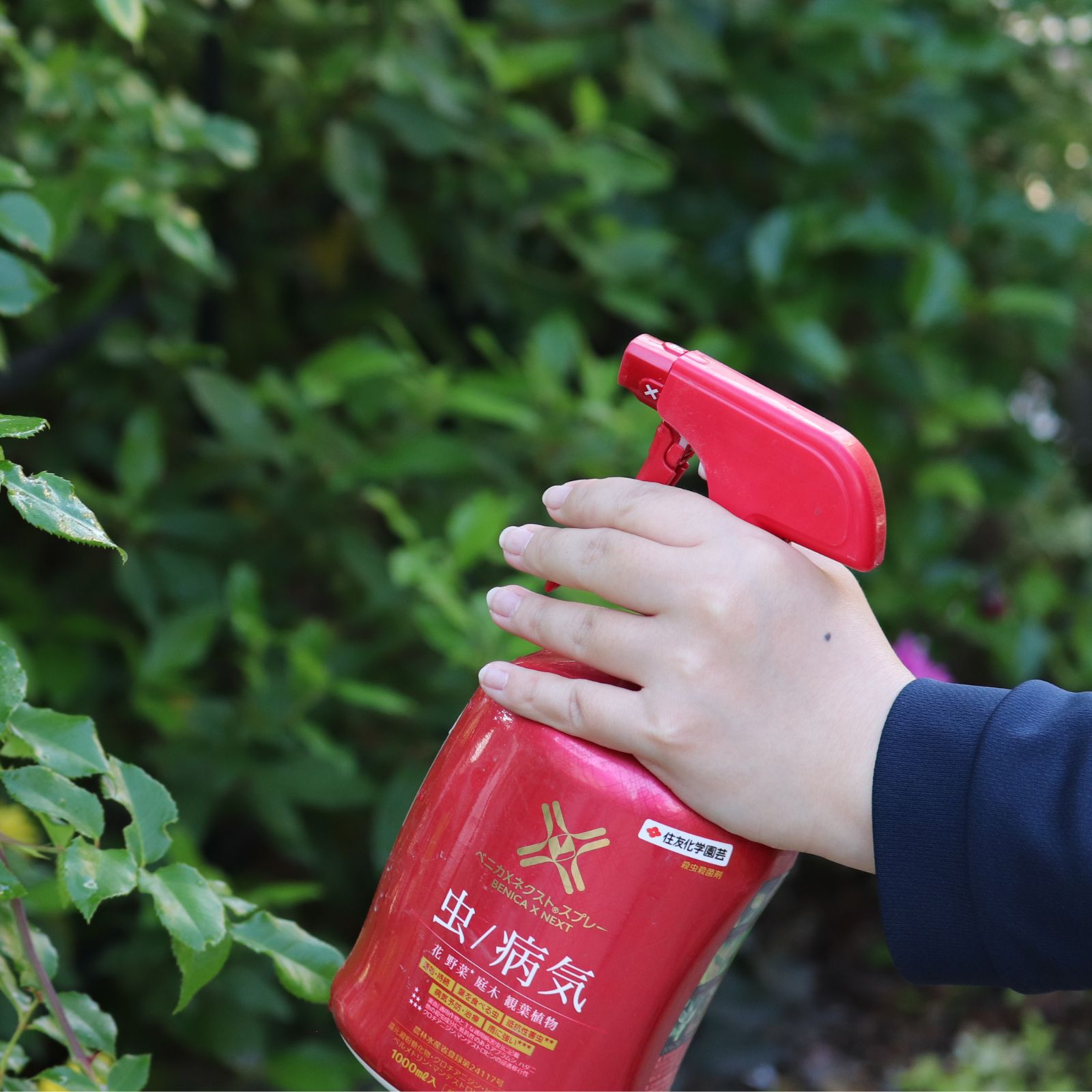 ベニカXネクストスプレー1000ｍL