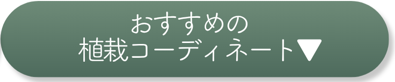 おすすめの植栽コーディネートを探す