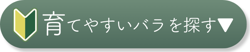 育てやすいバラを探す