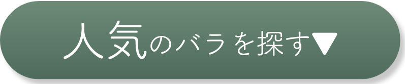 人気のバラを探す