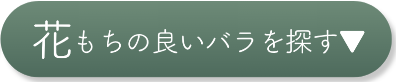 花もちの良いバラを探す