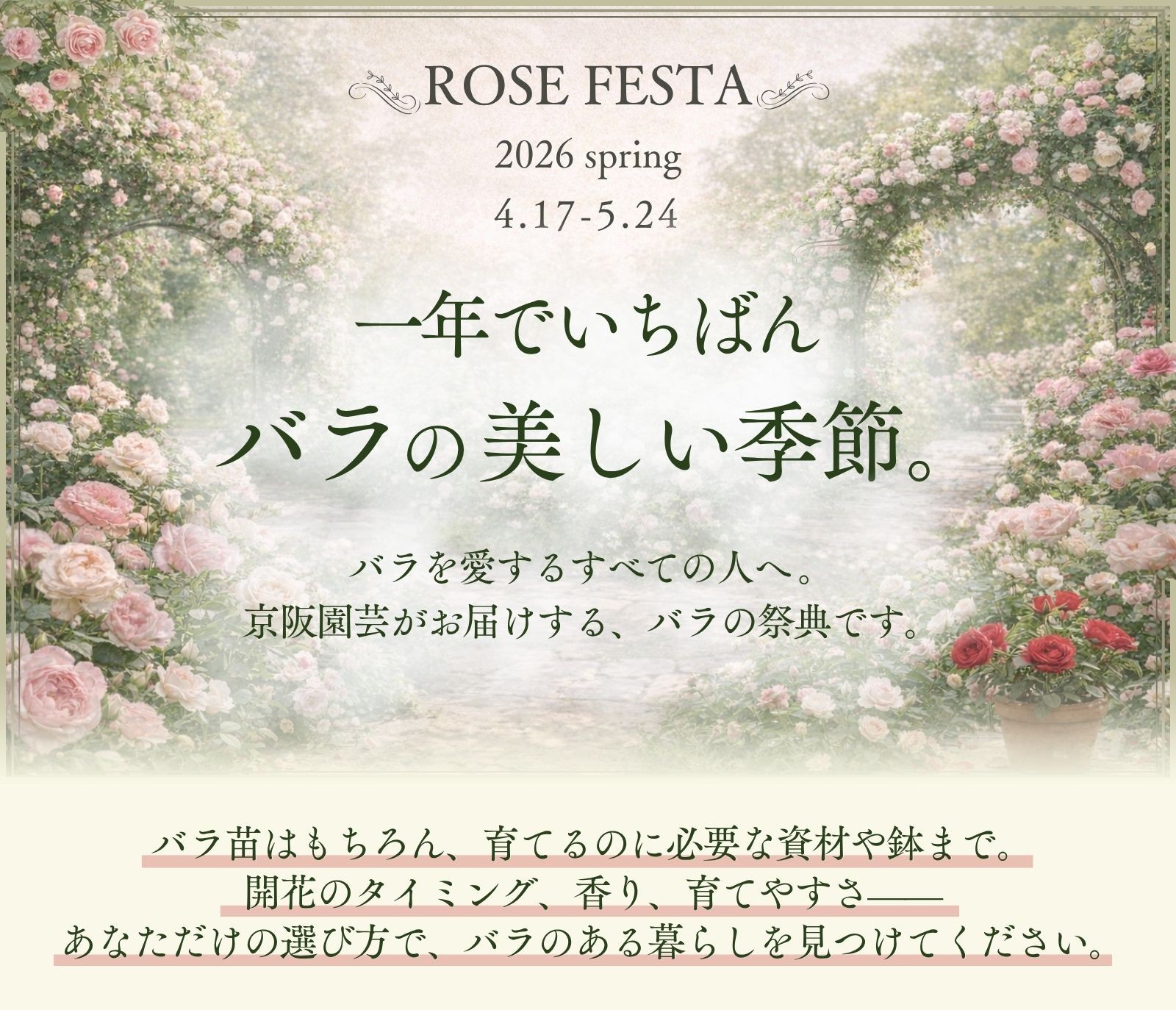 ローズフェスタ2026 一年でいちばんバラが美しい季節。バラを愛するすべての人へ 。京阪園芸がお届けする、バラ苗の祭典です。
