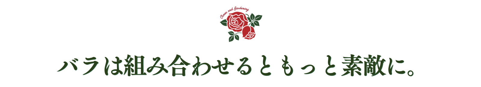 バラは組み合わせるともっと素敵に