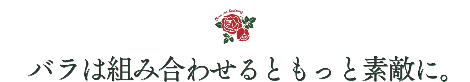 バラは組み合わせるともっと素敵に