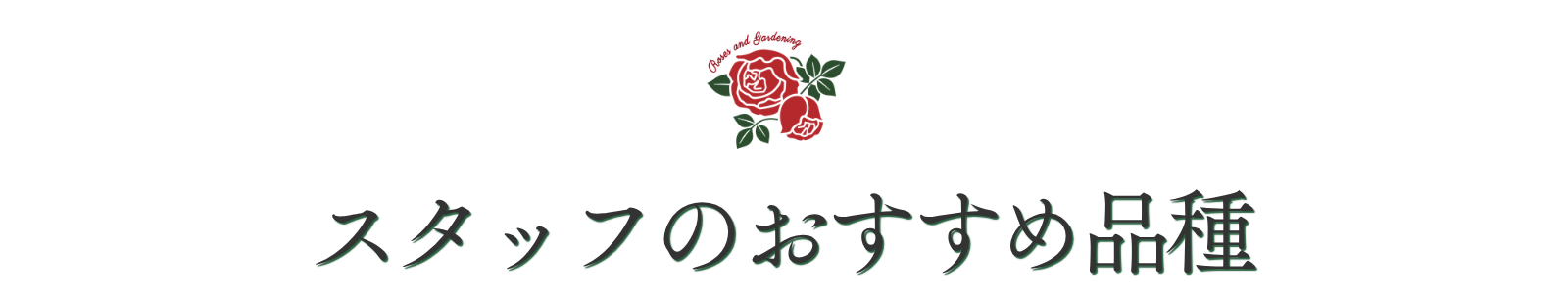 スタッフのおすすめ品種