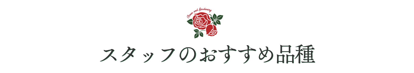 スタッフのおすすめ品種
