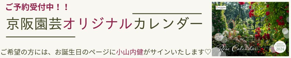 京阪園芸オリジナルローズカレンダーご予約承り中