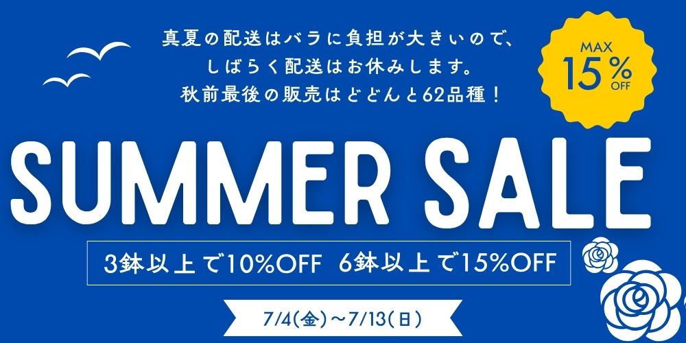 即納バラ苗14営業日以内に発送
