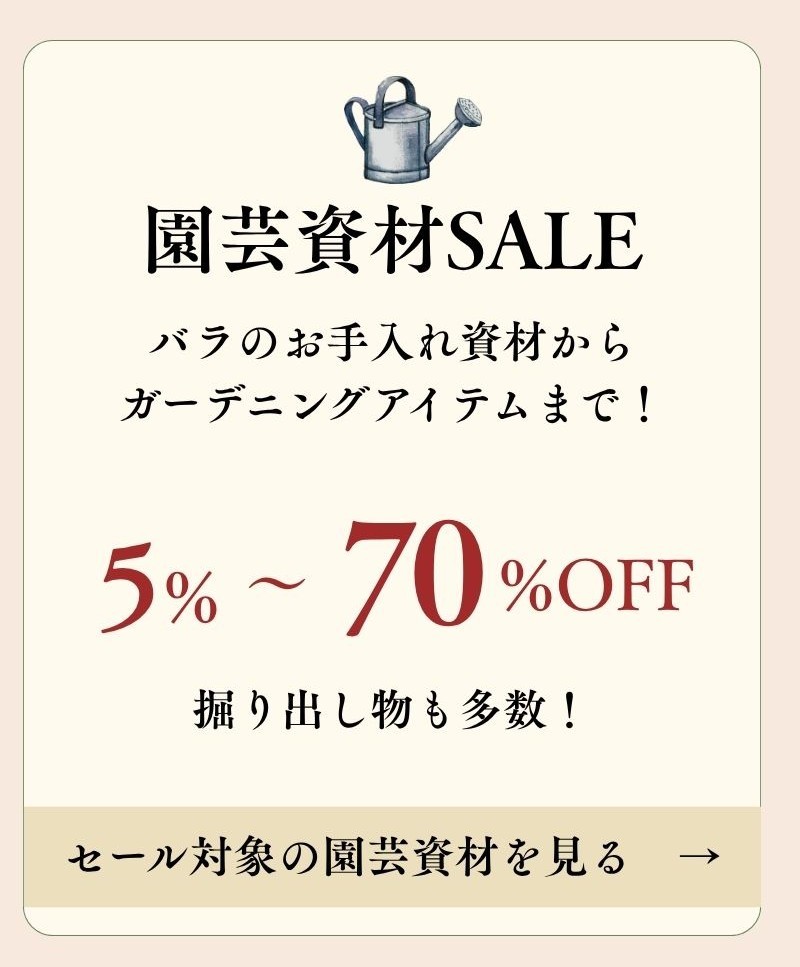 20%offおまかせバラ苗