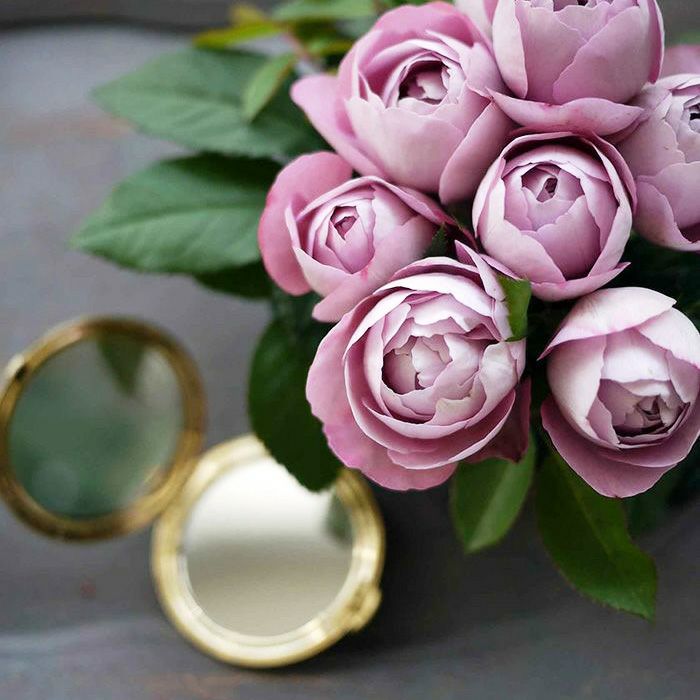 青みをおびた淡い紫色をしたブルドゥパルファムというバラの画像