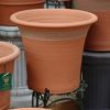 バラを育てるのにピッタリなウィッチフォードの植木鉢の写真