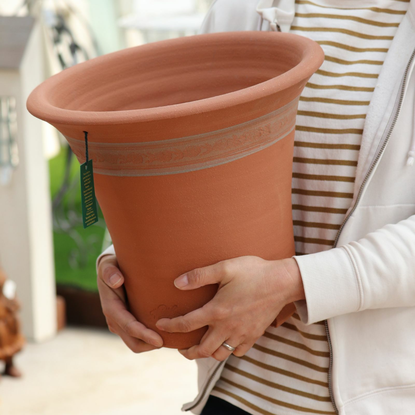 バラのために作られたウィッチフォードの植木鉢の写真