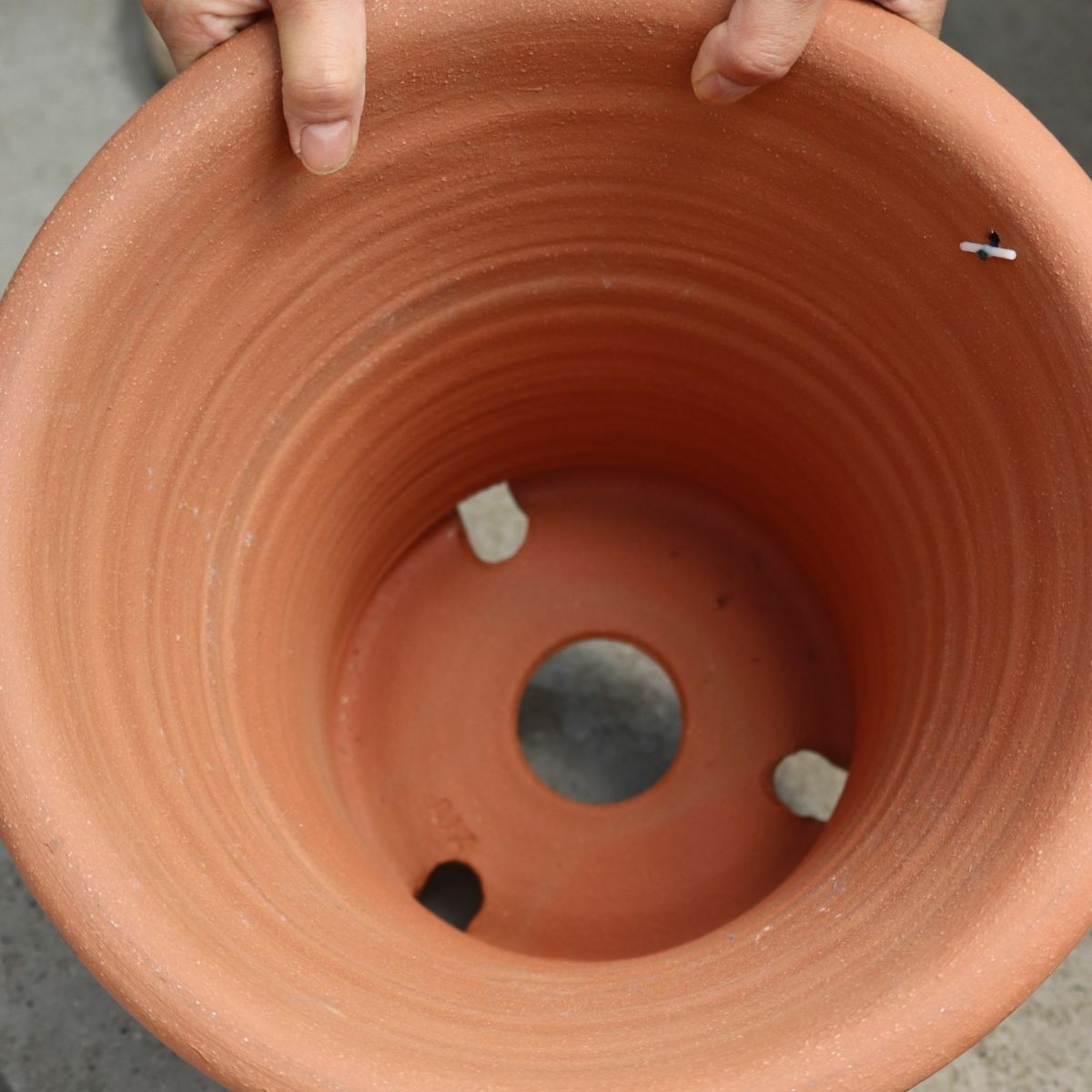 バラのために作られたウィッチフォードの植木鉢の写真