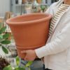 深さのあるウィッチフォードの植木鉢の写真