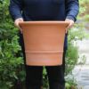 深さのあるウィッチフォードの植木鉢の写真