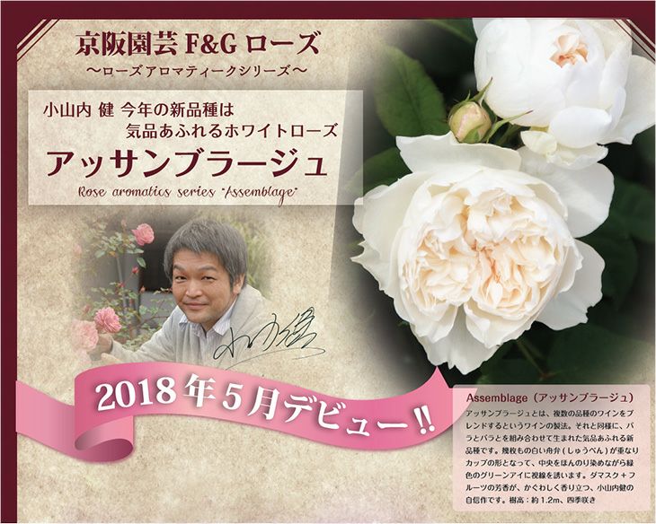 アッサンブラージュを説明した画像