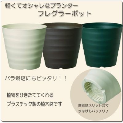 プラスチック鉢 樹脂製鉢 京阪園芸ガーデナーズwebショップ 本店 プラスチック鉢 樹脂製鉢 京阪園芸ガーデナーズwebショップ 本店