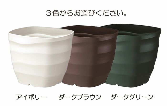 プラスチック鉢】フレグラースクエアポット32型/10号サイズ｜バラと庭