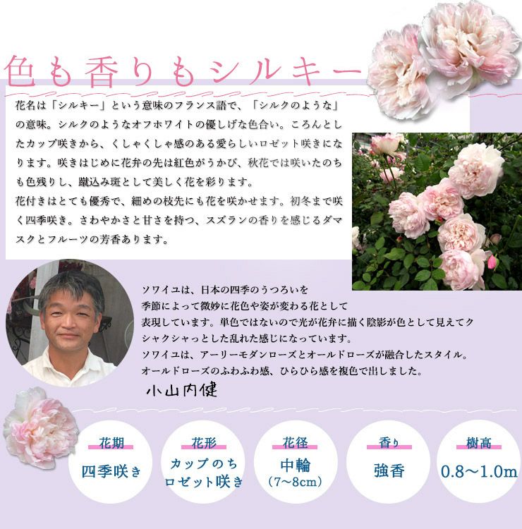 ソワイユを説明した画像