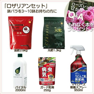お得なお手入れセット 京阪園芸ガーデナーズwebショップ 本店 お得なお手入れセット 京阪園芸ガーデナーズwebショップ 本店