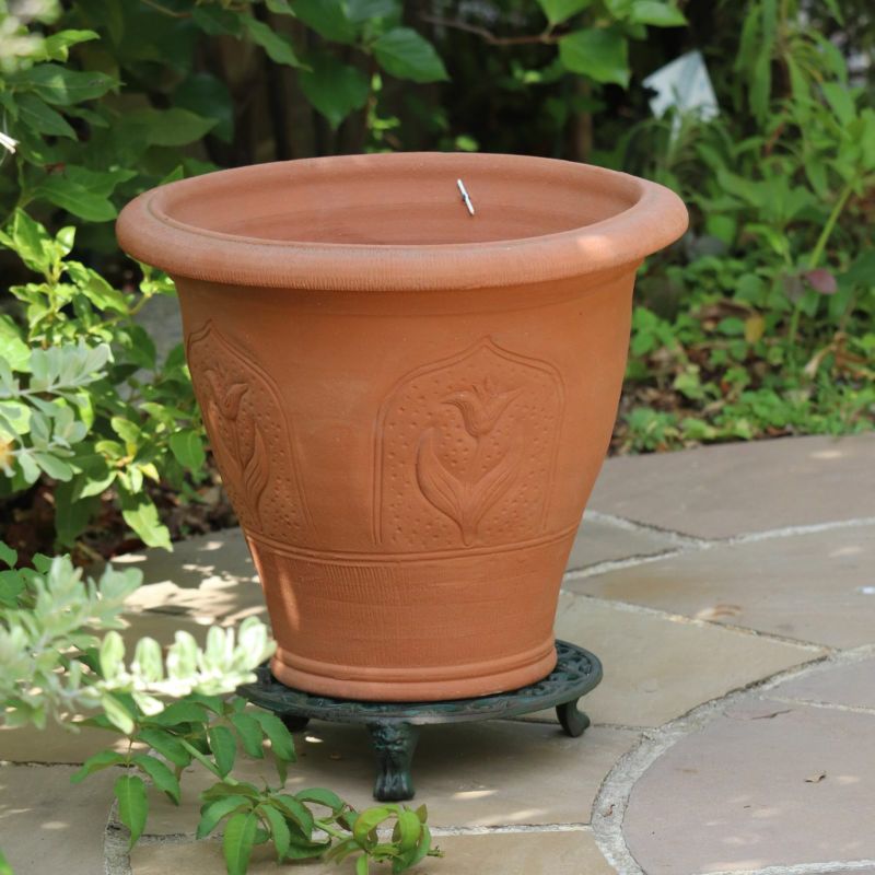 チューリップがあしらわれたウィッチフォードの植木鉢の写真