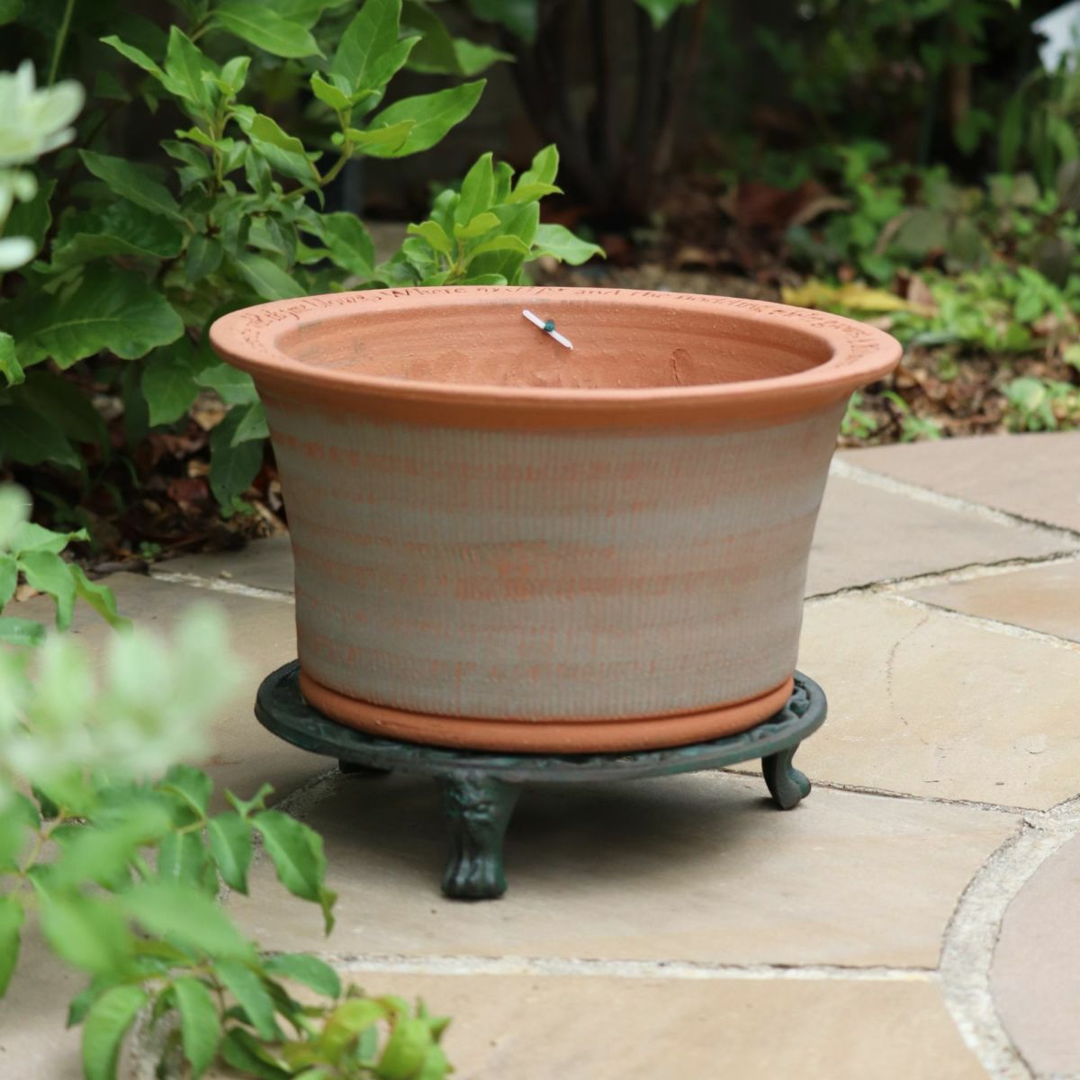 ウィッチフォードの植木鉢の写真
