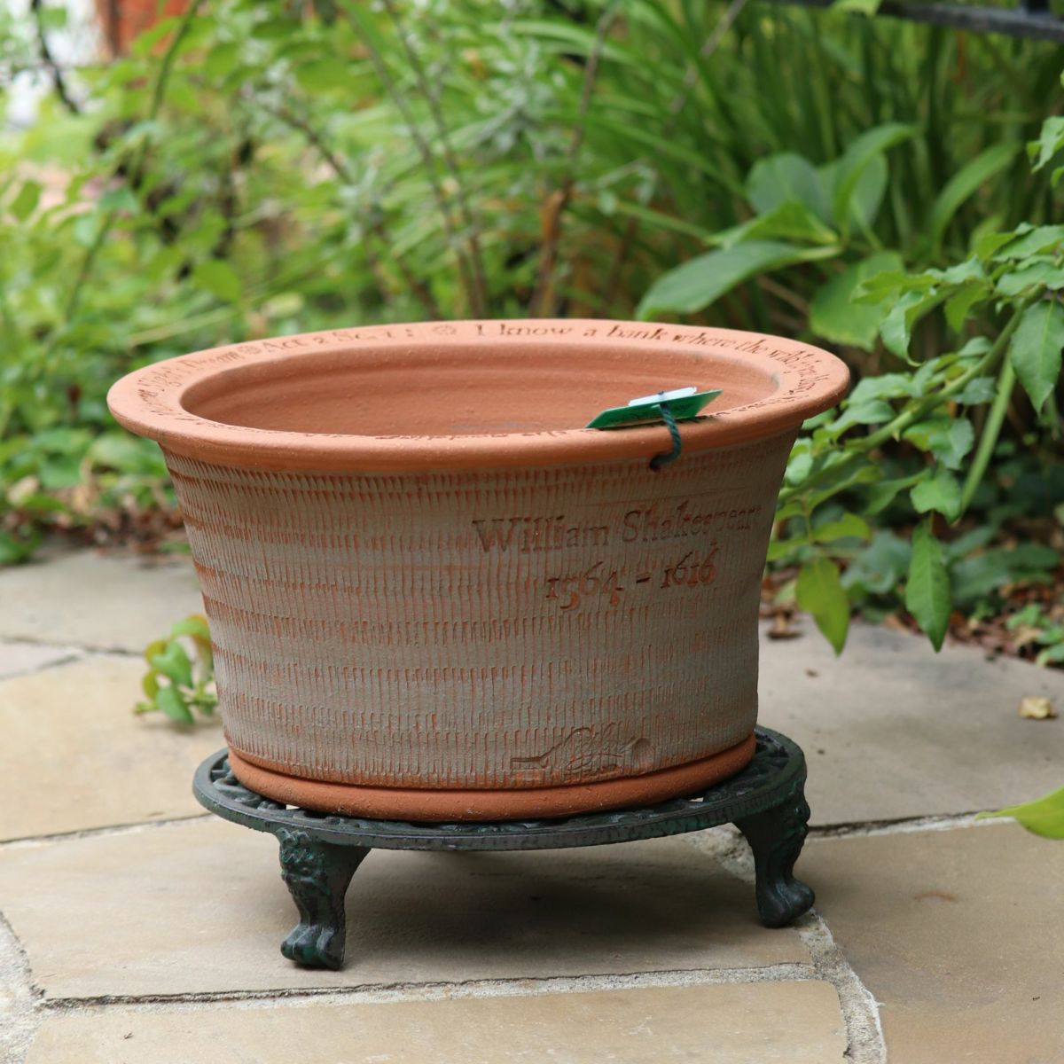 ウィッチフォードの植木鉢の写真